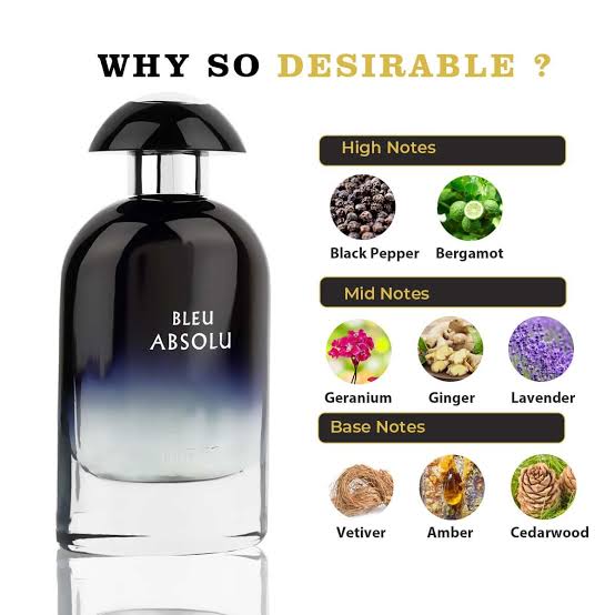 Parfum Bleu Absolu de Riiffs – L'Eau de Parfum Homme Fraîche et Boisée